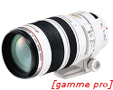 Canon 100-400mm f/4.5-5.6 L IS